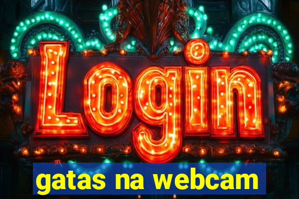 gatas na webcam